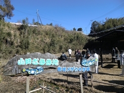 CIMG6849_RR.JPG