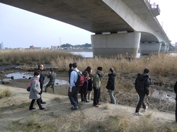 CIMG8712_RR.JPG
