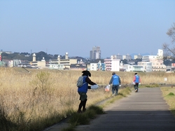 CIMG8719_RR.JPG