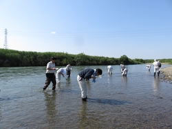 IMG_0107_RR.JPG