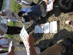 IMG_0123_RR.JPG