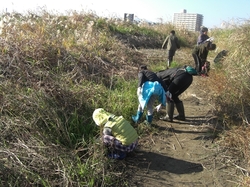 CIMG0343_RR.JPG