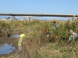 IMG_1432_RR.JPG