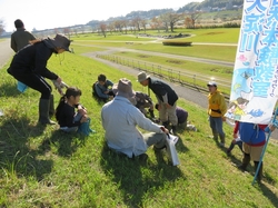 IMG_1447_RR.JPG